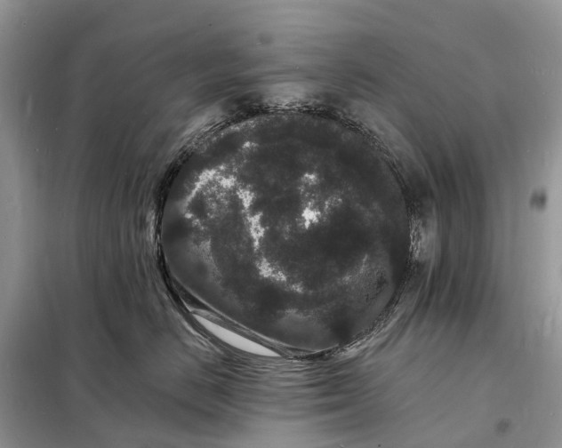 X0000098230670200805081223