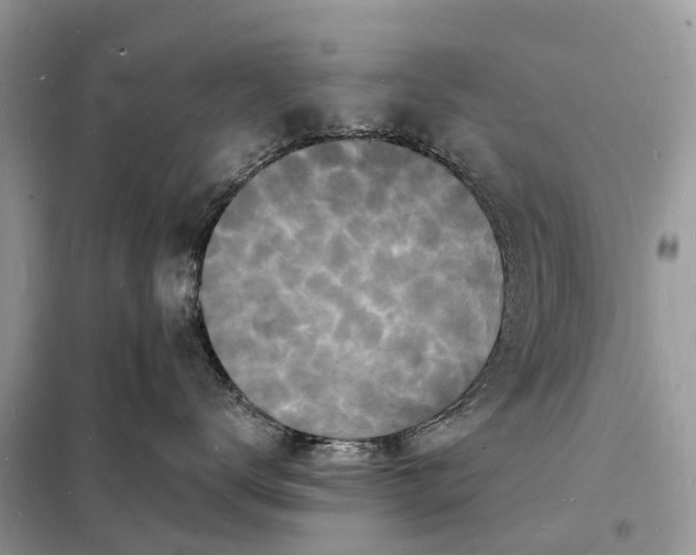 X0000098230672200805081223