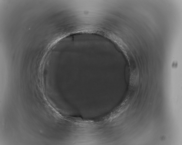 X0000098230673200805081223