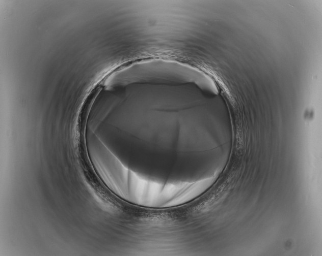 X0000098230674200805081223