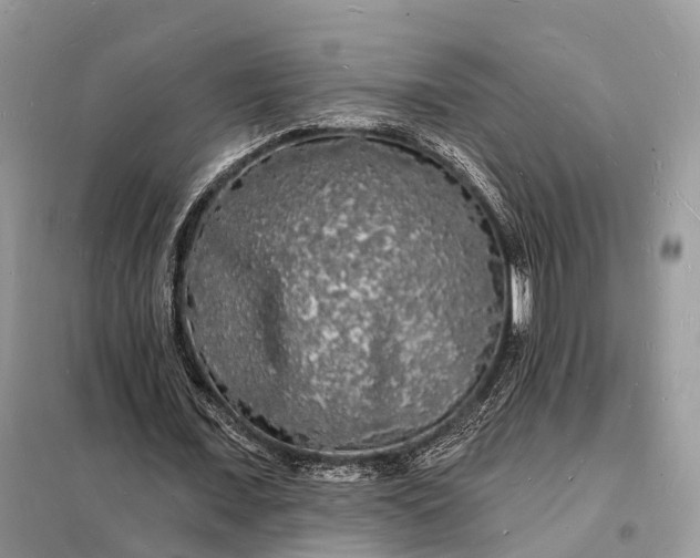 X0000098230675200805081223