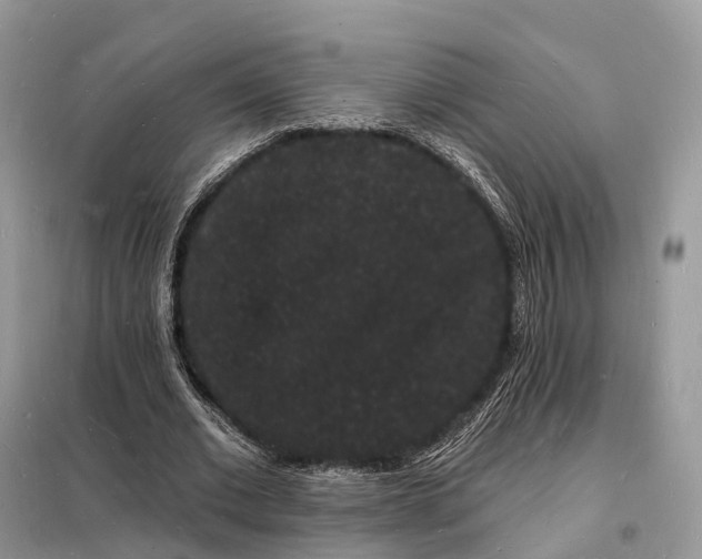 X0000098230677200805081223