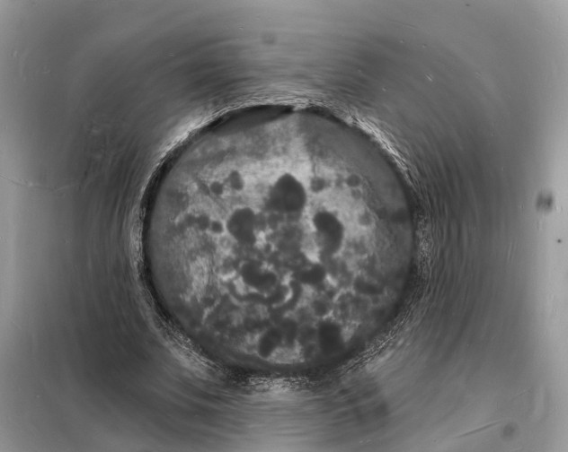 X0000098230679200805081223