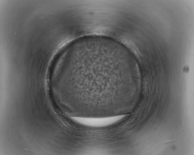 X0000098230680200805081223