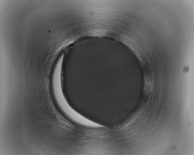 X0000098230681200805081223