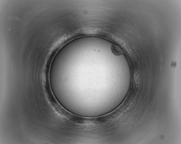 X0000098230682200805081223