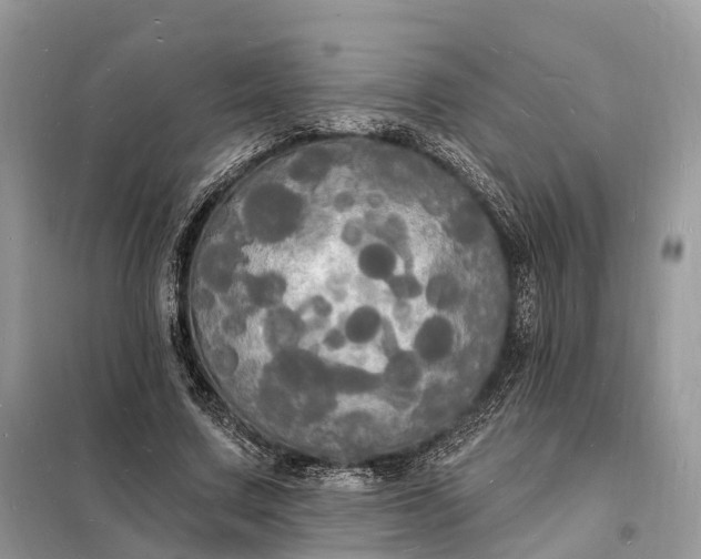 X0000098230683200805081222