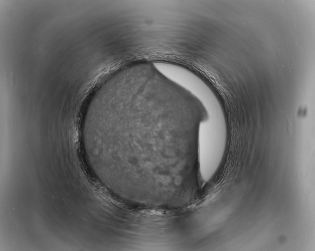 X0000098230687200805081222