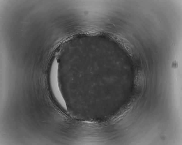 X0000098230689200805081222