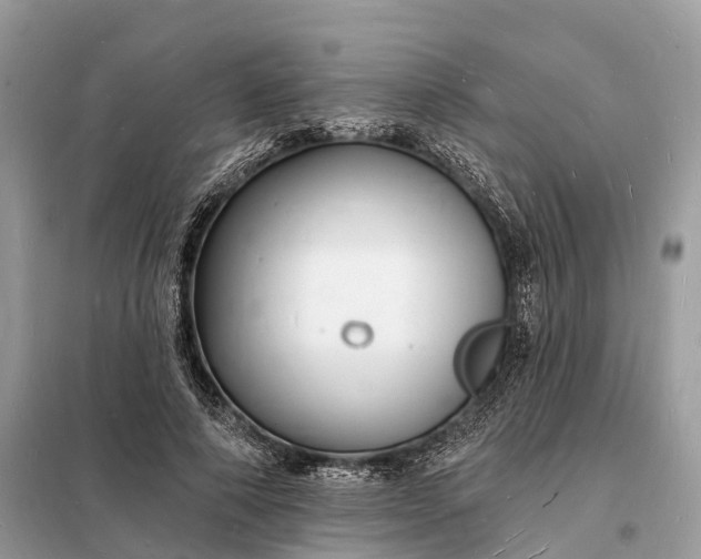 X0000098230690200805081222