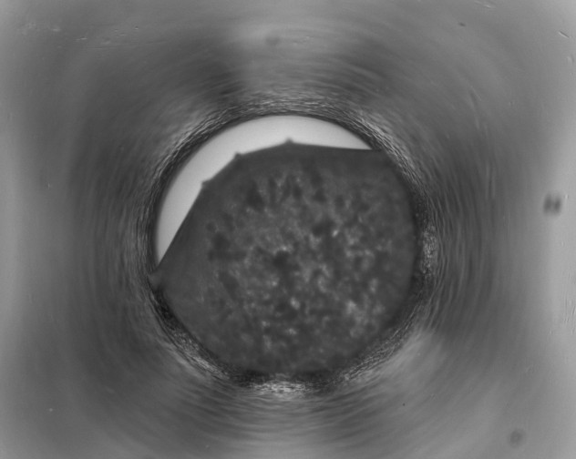 X0000098230691200805081222