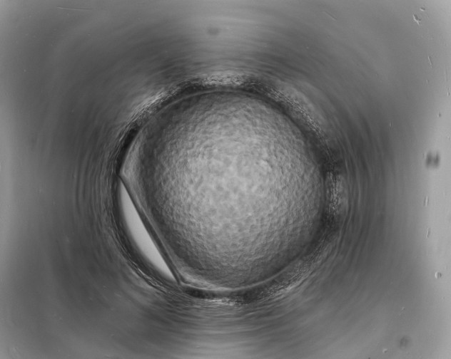 X0000098230692200805081222