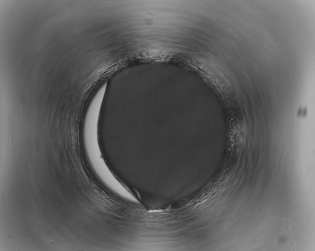 X0000098230693200805081222