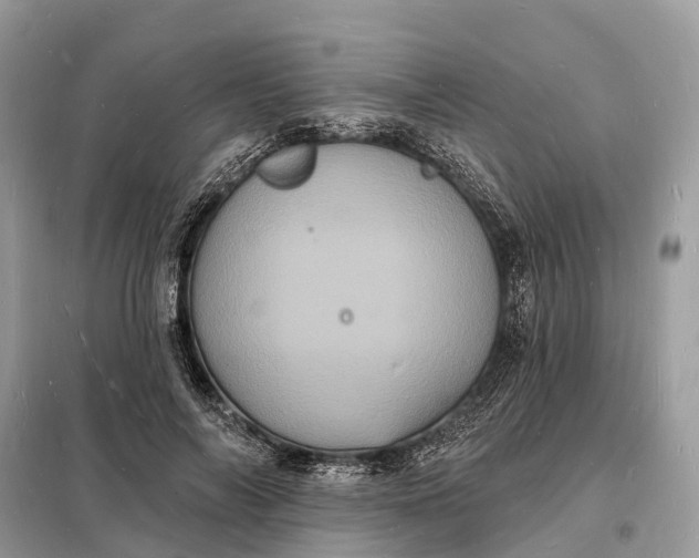 X0000098230694200805081222