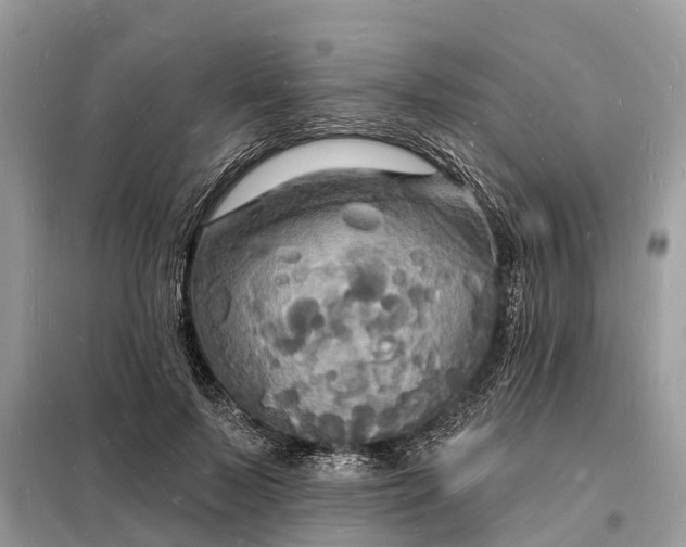 X0000098230695200805081222