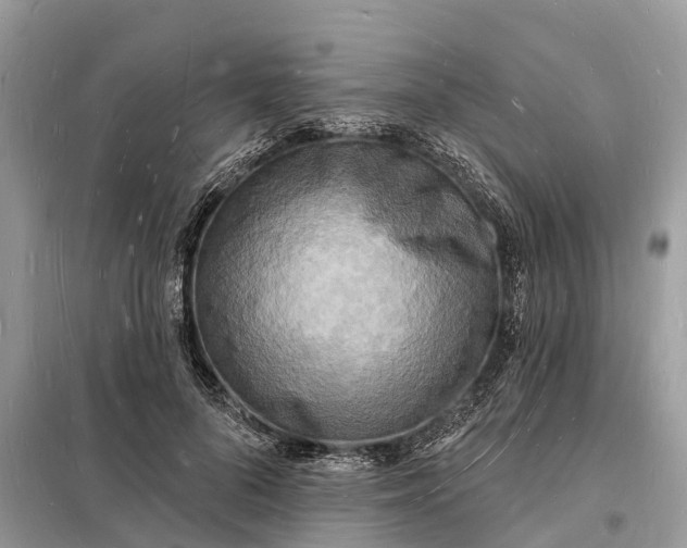 X0000098230696200805081222