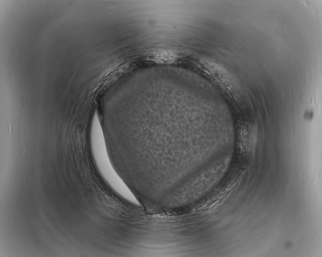 X0000098230697200805081222