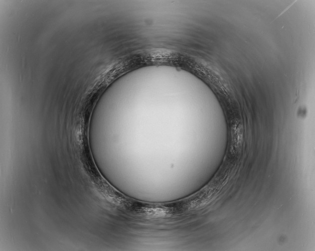 X0000098230698200805081222