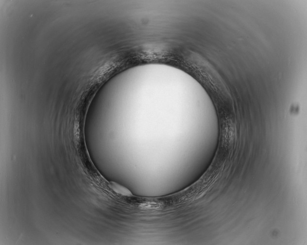 X0000098230700200805081222