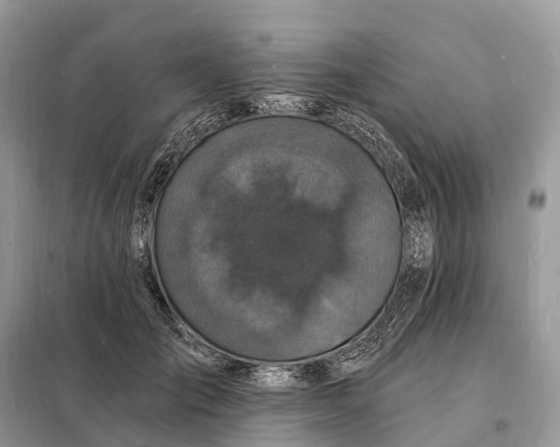 X0000098230701200805081222