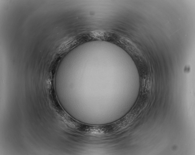 X0000098230702200805081222