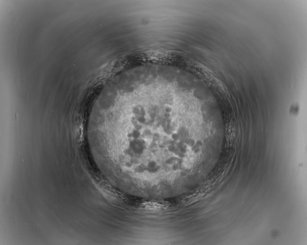 X0000098230703200805081222