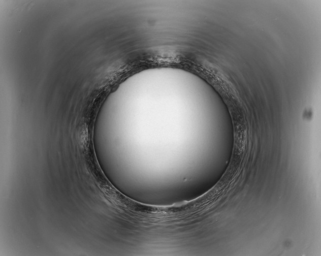 X0000098230704200805081222