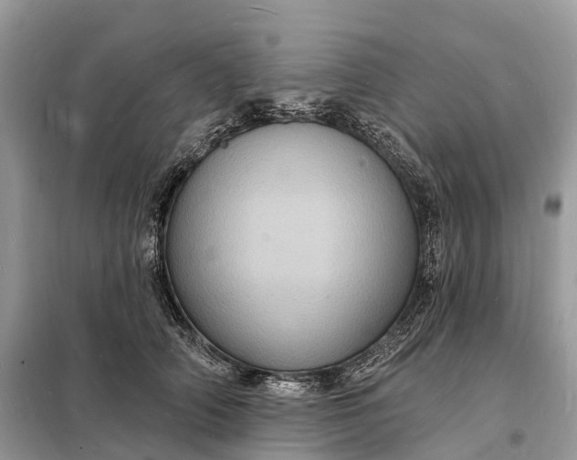 X0000098230706200805081222