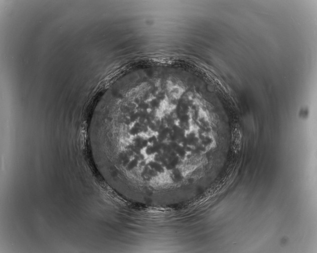 X0000098230707200805081222