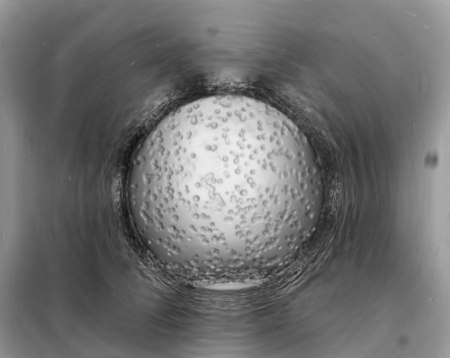 X0000098230708200805081222