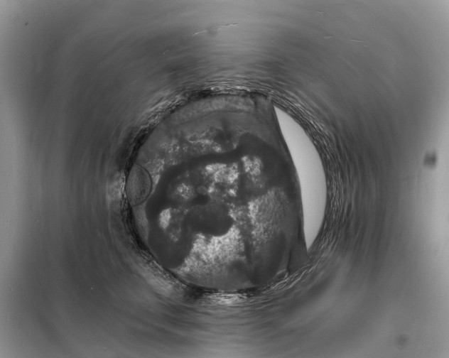 X0000098230711200805081222