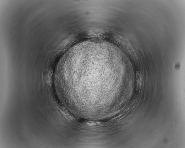 X0000098230712200805081222