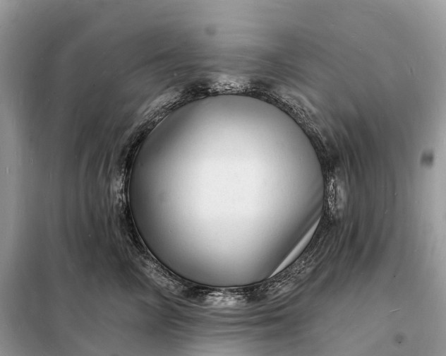 X0000098230714200805081222