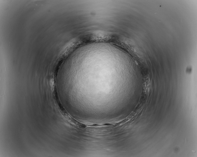 X0000098230716200805081222