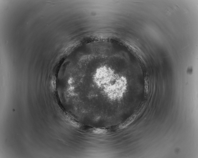 X0000098230718200805081222