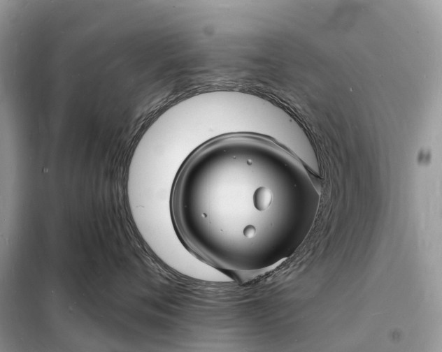 X0000098230720200805081222