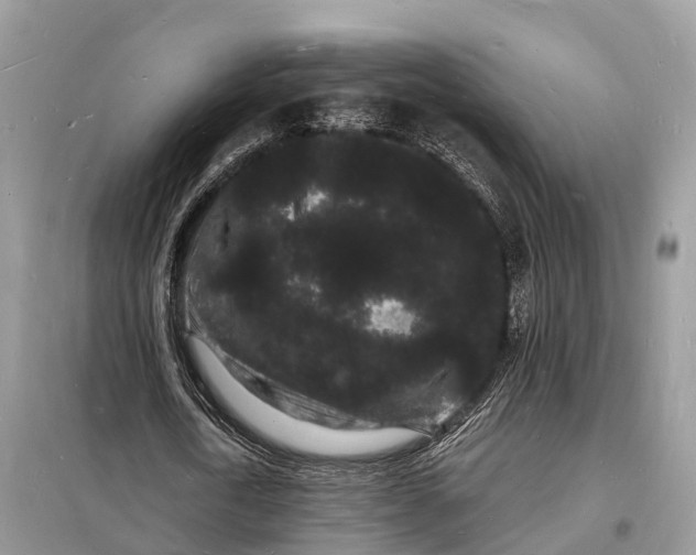 X0000098230722200805081221