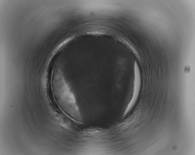 X0000098230724200805081221