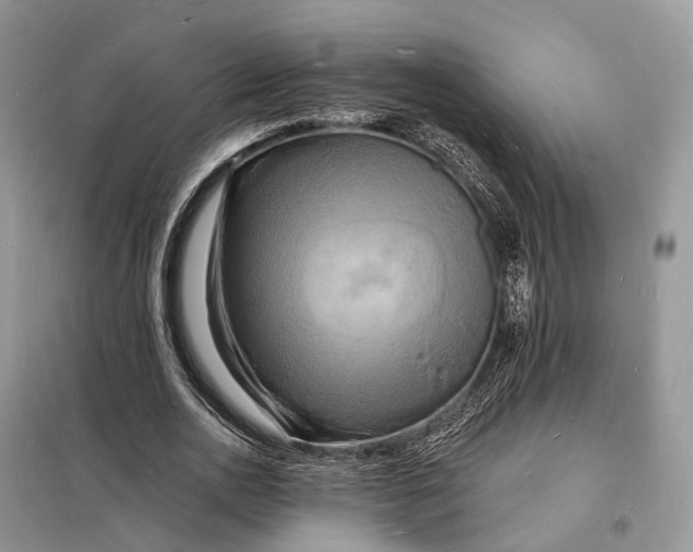 X0000098230726200805081221