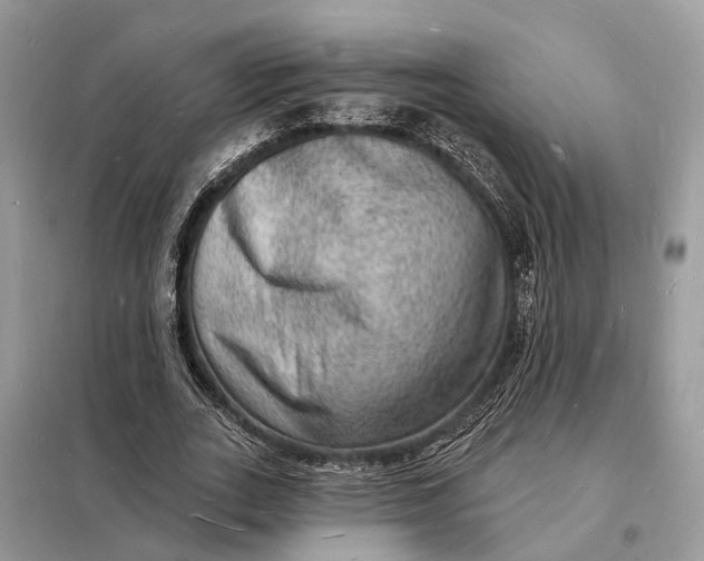 X0000098230727200805081221