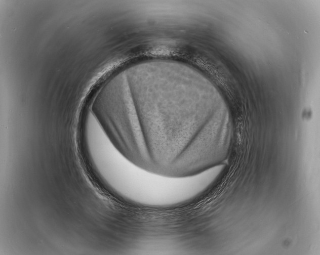 X0000098230728200805081221