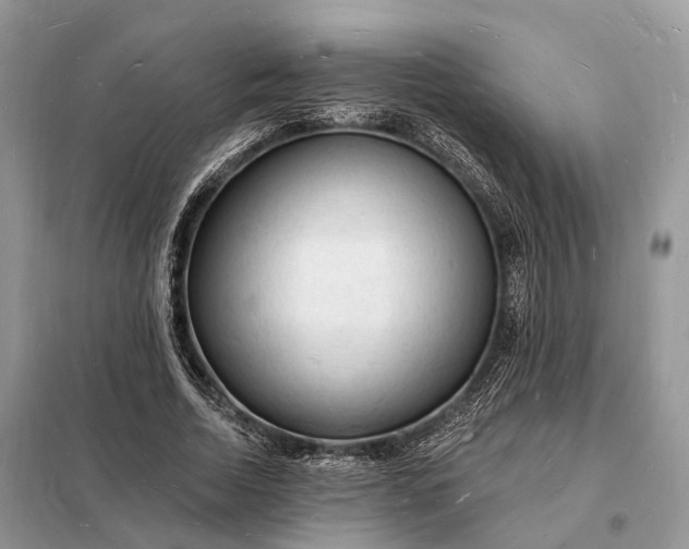 X0000098230730200805081221