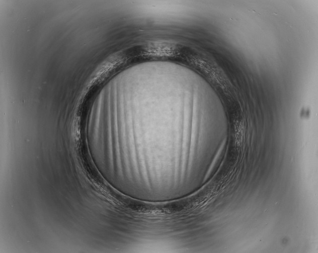 X0000098230731200805081221