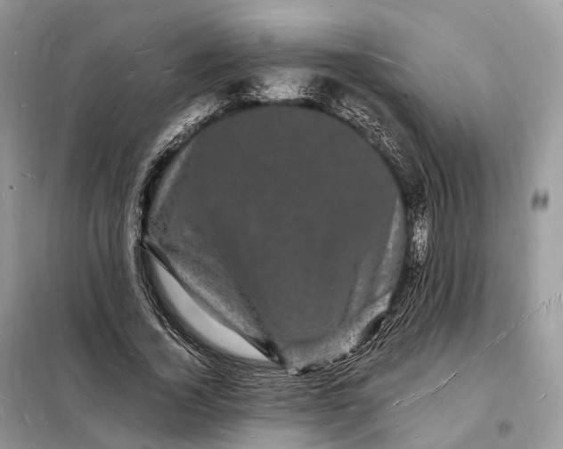 X0000098230732200805081221