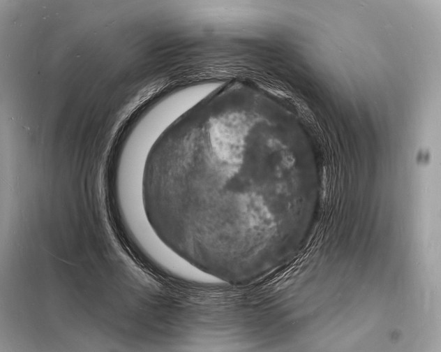 X0000098230734200805081221