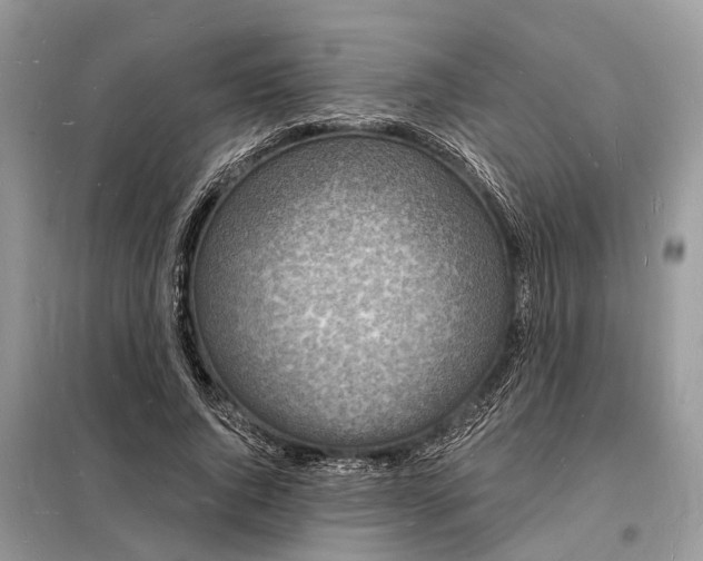 X0000098230736200805081221