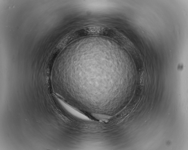 X0000098230737200805081221