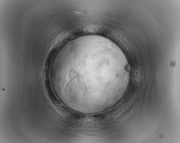 X0000098230738200805081221