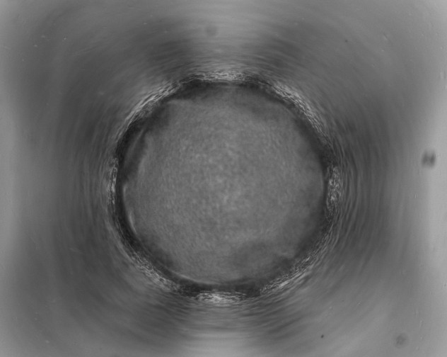 X0000098230739200805081221