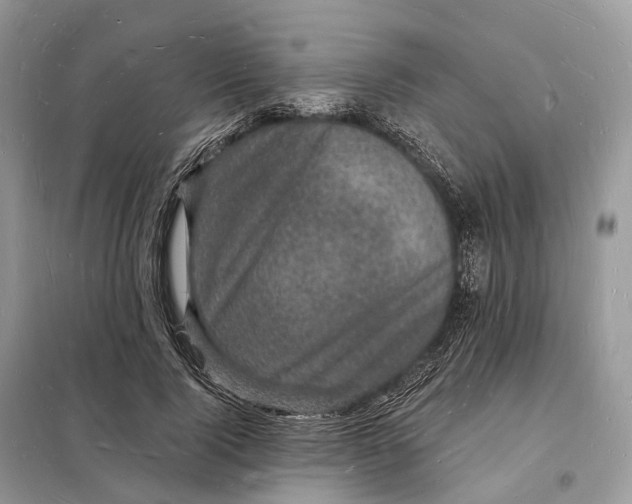 X0000098230740200805081221